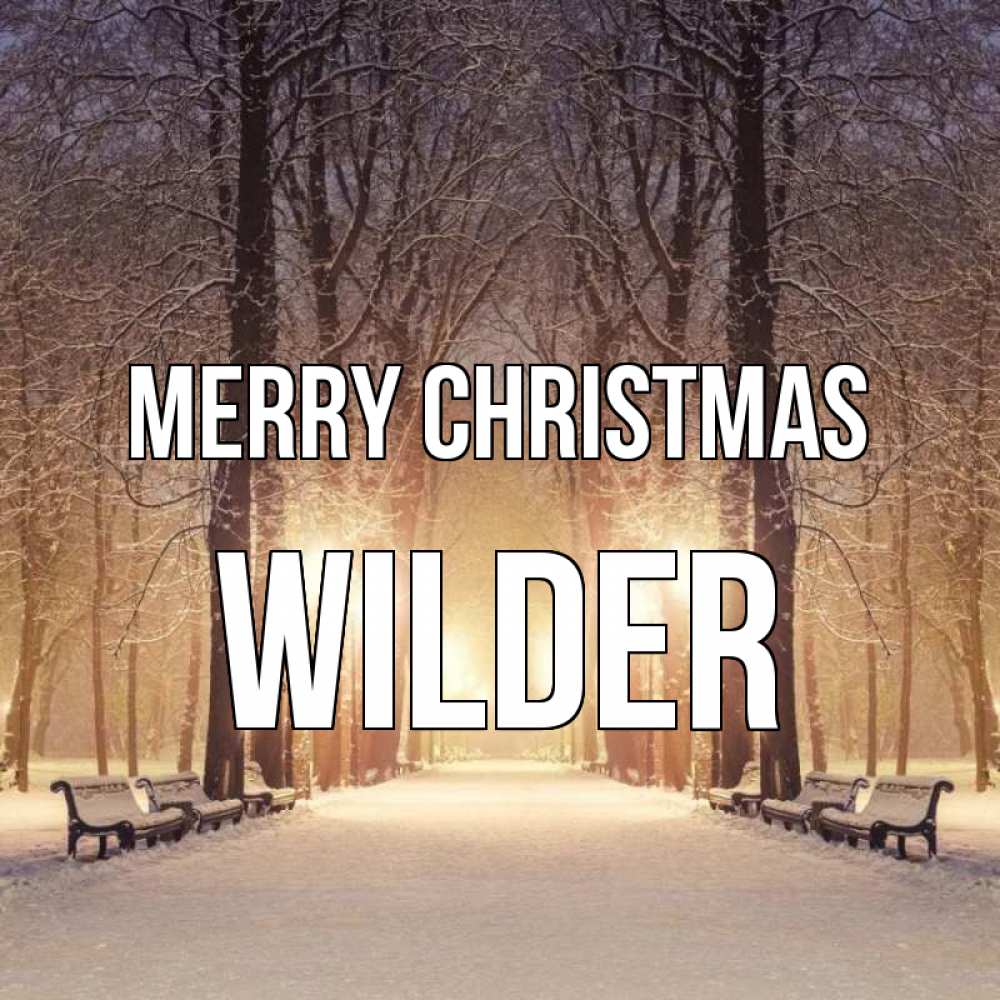 Greetings card с именем, Wilder Merry Christmas зима, парк, фонарь, лес Greetings with text for free download 