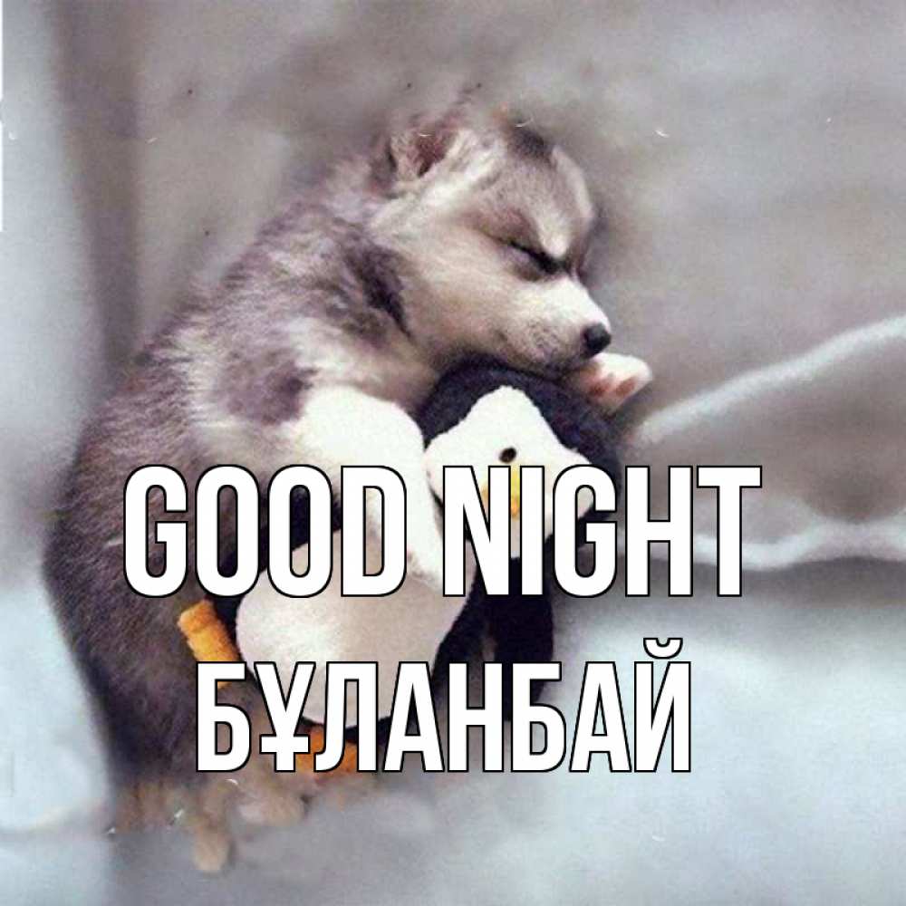 Greetings card с именем, Бұланбай Good night обнимашки щенка и пингвина Greetings with text for free download 