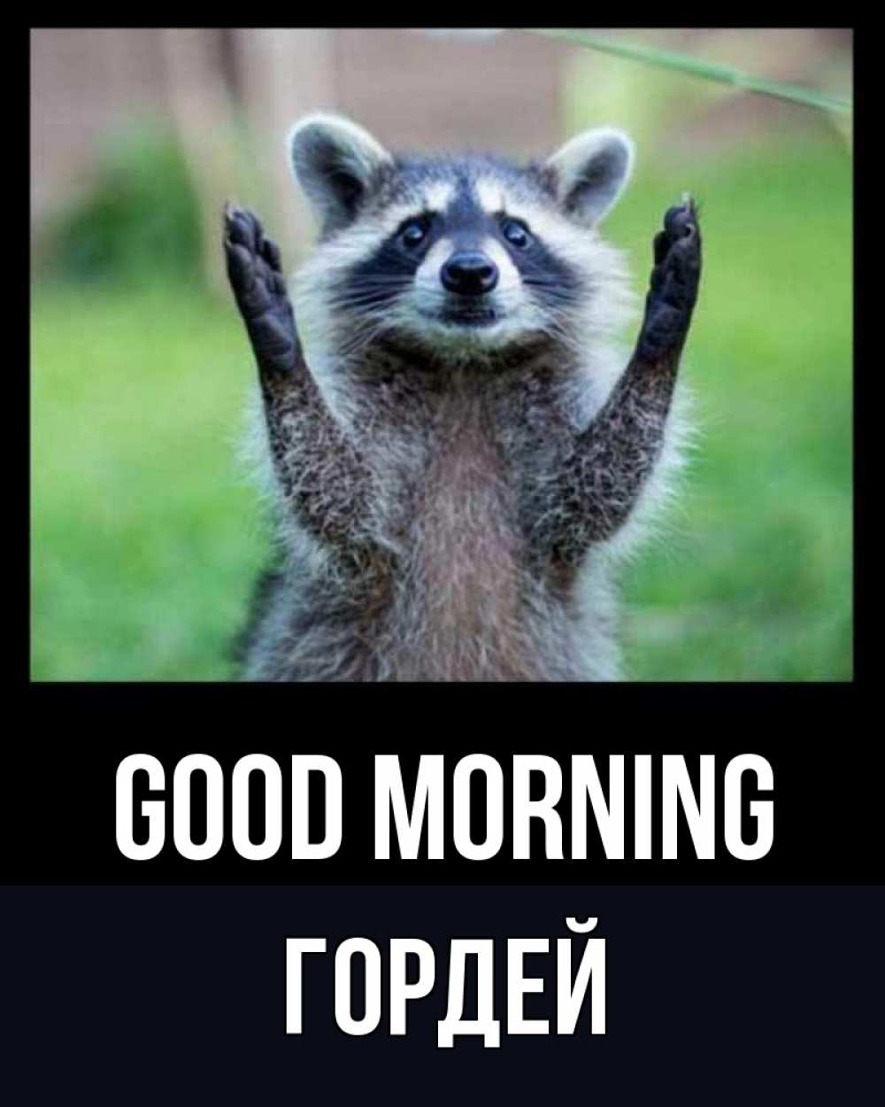 Greetings card с именем, Гордей Good morning хорошее настроение утречком Greetings with text for free download 