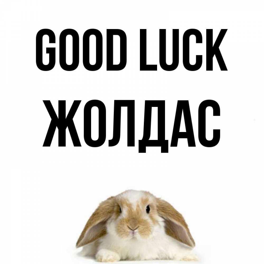 Greetings card с именем, Жолдас Good luck открытки с произвольным текстом который можно вставить в открытку и создать ее самостоятельно бесплатно онлайн Greetings with text for free download 