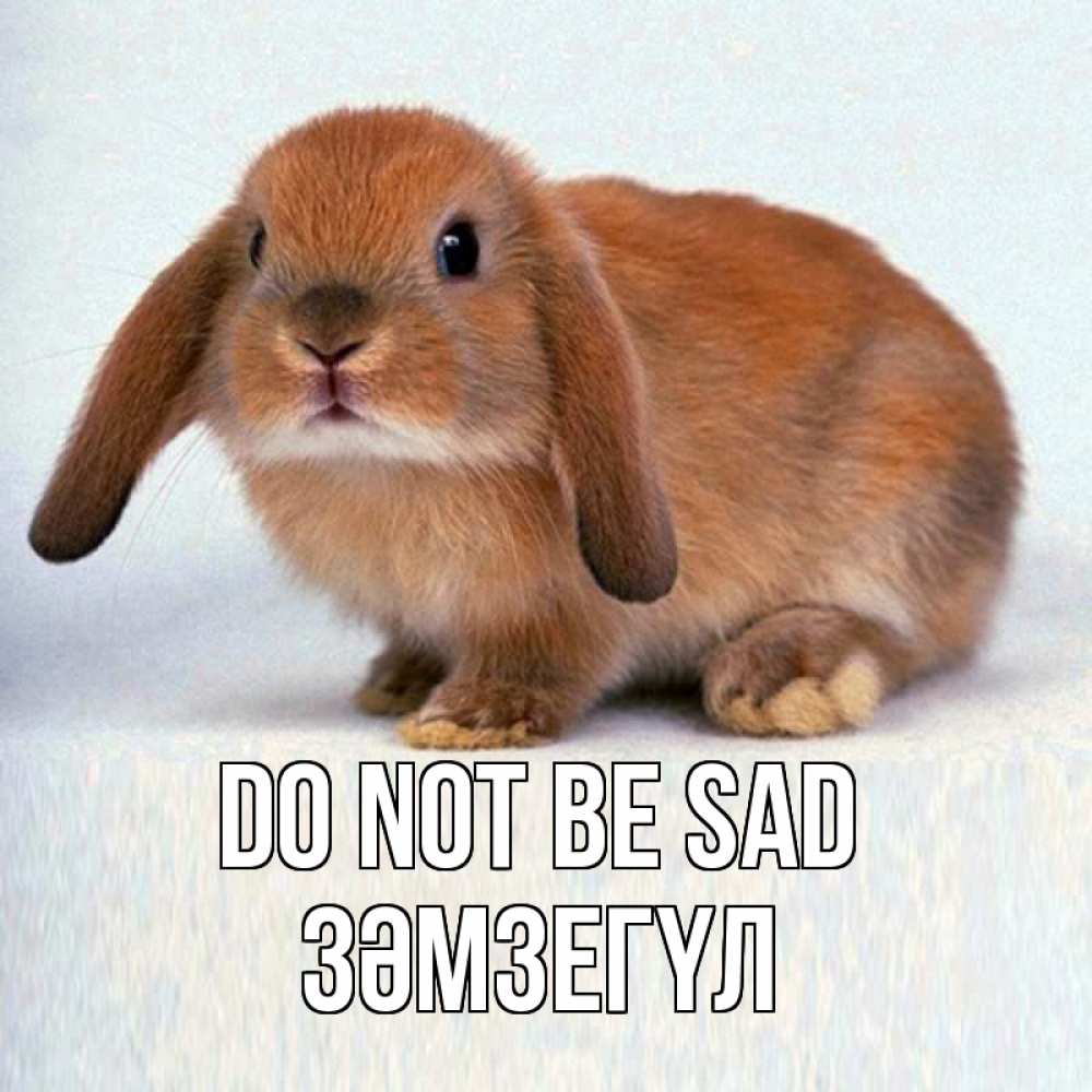 Greetings card с именем, ЗӘМЗЕГҮЛ Do not be sad рыжий зая Greetings with text for free download 