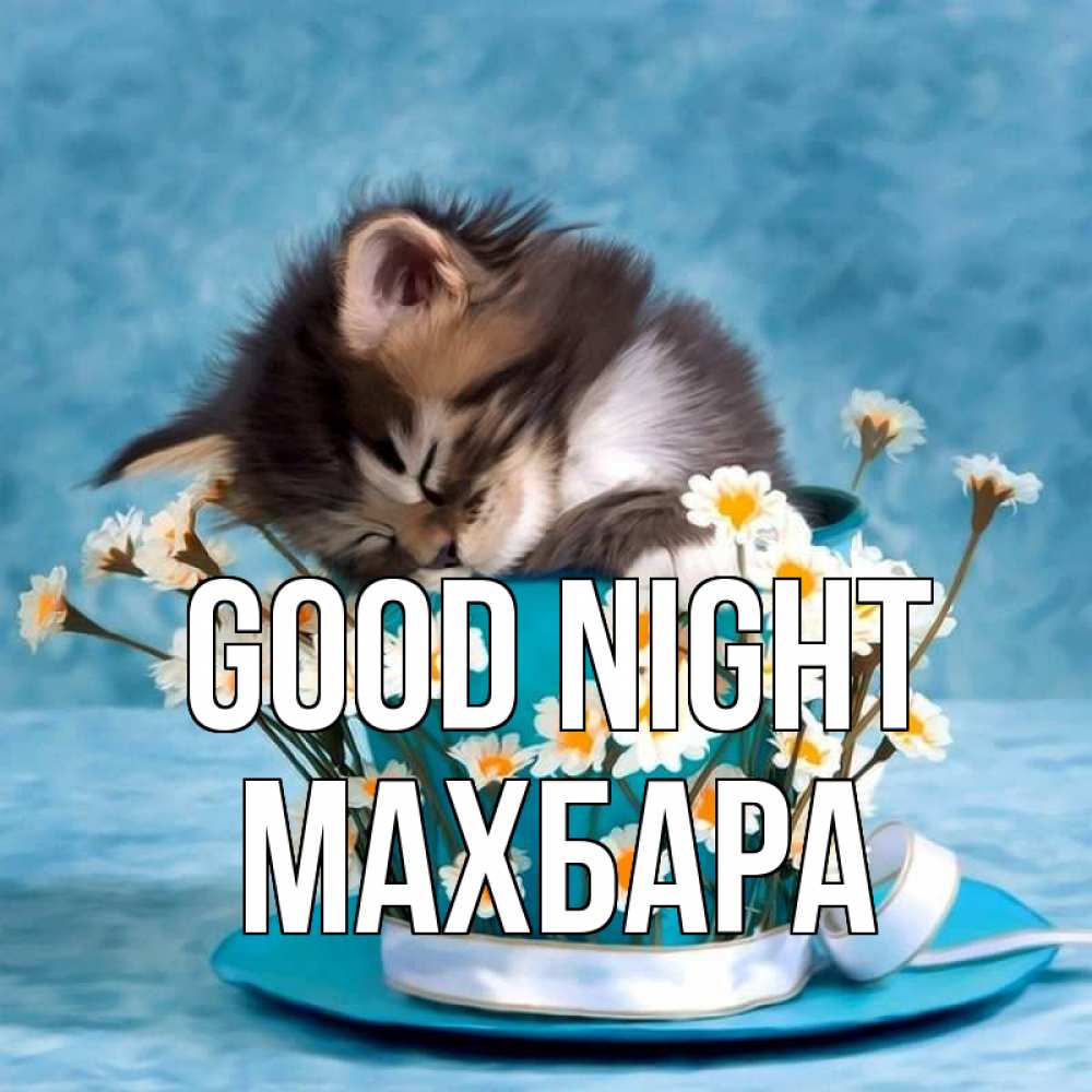 Greetings card с именем, МАХБАРА Good night котенок спит в кружке с блюдцем Greetings with text for free download 