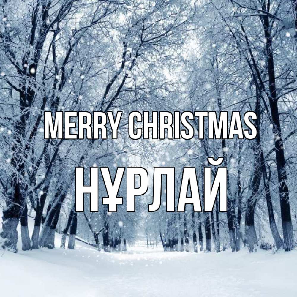 Greetings card с именем, НҰРЛАЙ Merry Christmas снег, лес, парк Greetings with text for free download 