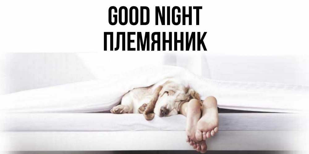 Greetings card с именем, Племянник Good night кровать с собакой пожелание сладких снов и спокойной ночи Greetings with text for free download 