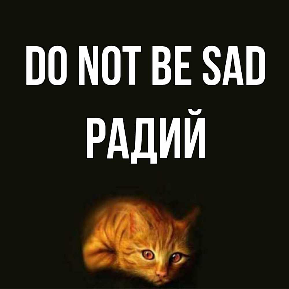 Greetings card с именем, Радий Do not be sad лежащий кот в темноте Greetings with text for free download 