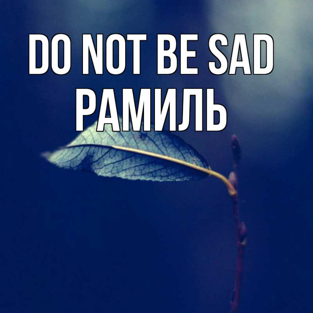 Greetings card с именем, Рамиль Do not be sad растение Greetings with text for free download 