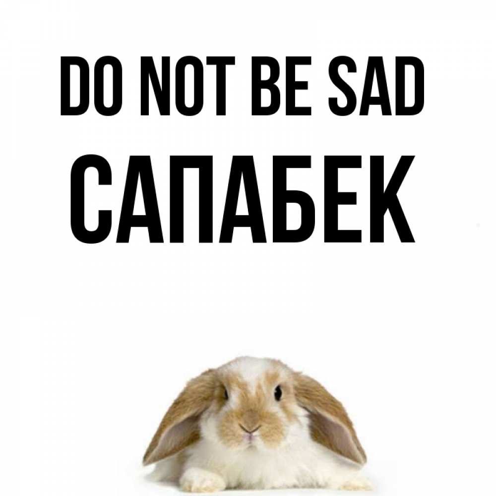 Greetings card с именем, САПАБЕК Do not be sad коричнево белый заяц с большими ушками Greetings with text for free download 