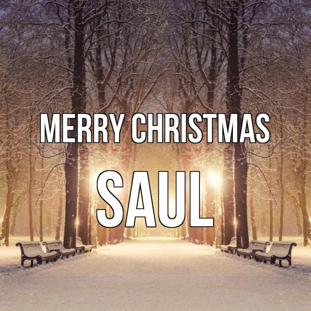 Greetings card с именем, Saul Merry Christmas зима, парк, фонарь, лес Greetings with text for free download 