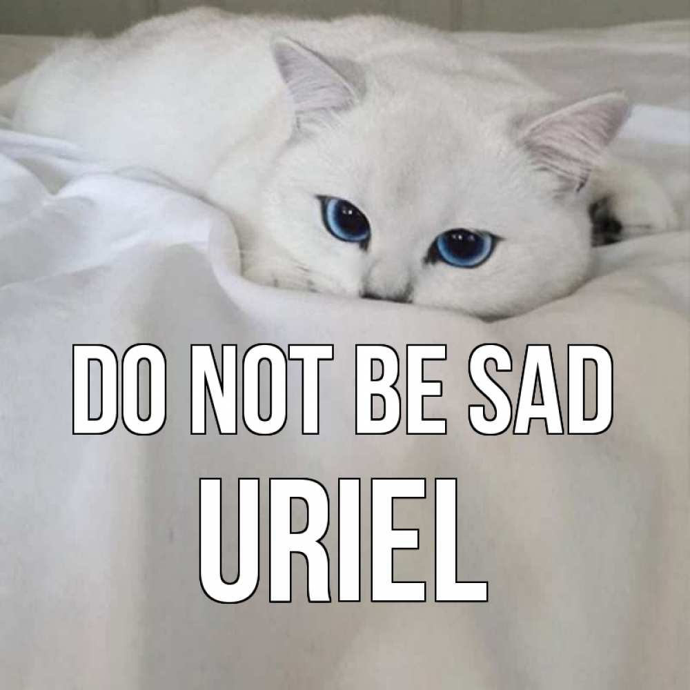 Greetings card с именем, Uriel Do not be sad белый кот с голубыми глазами на белоснежной кровати Greetings with text for free download 