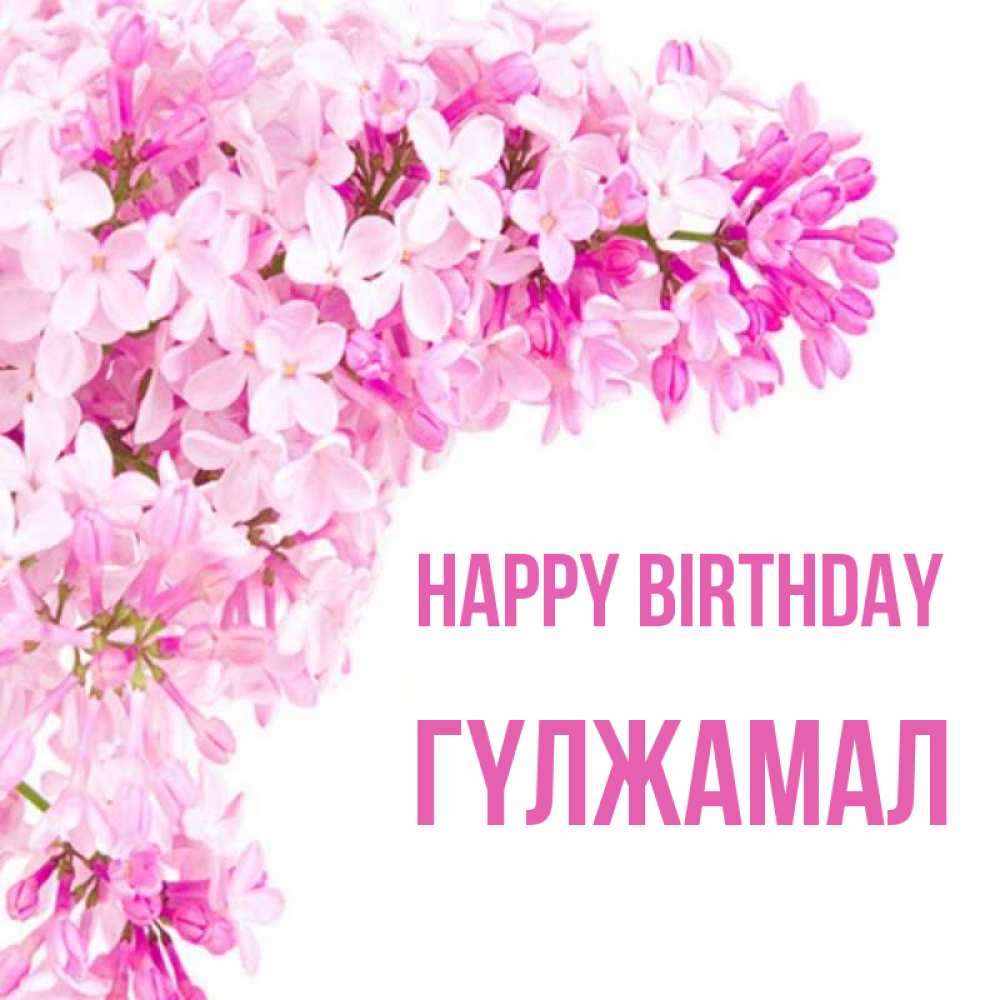 Greetings card с именем, ГҮЛЖАМАЛ Happy Birthday Сирень на белом фоне Greetings with text for free download 