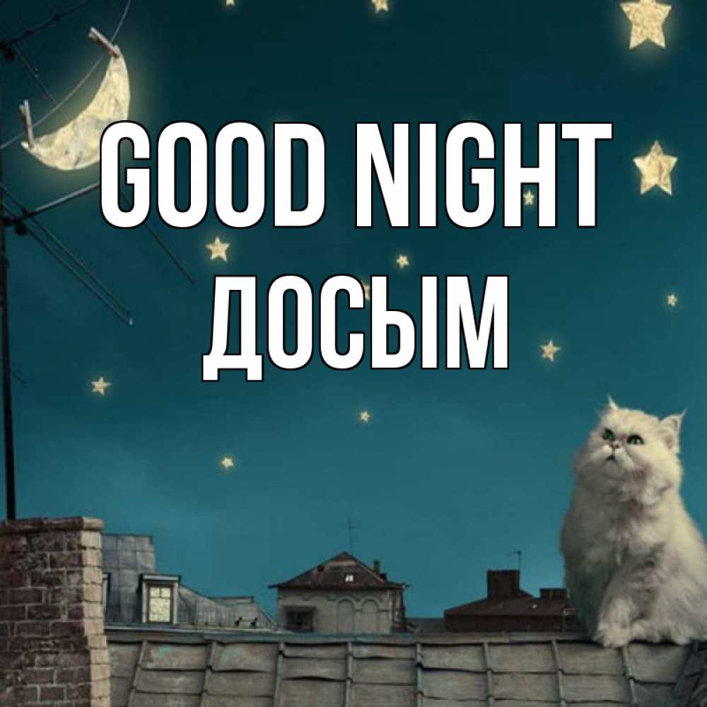 Greetings card с именем, Досым Good night белый кот сидит на крыше Greetings with text for free download 