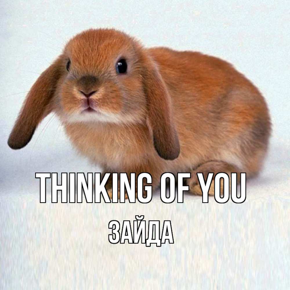 Greetings card с именем, ЗАЙДА Thinking of you кроль коричневый Greetings with text for free download 