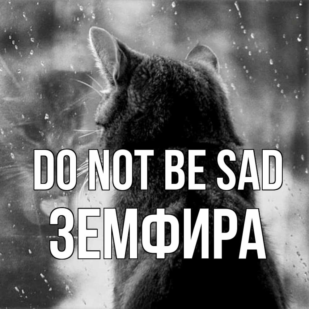 Greetings card с именем, ЗЕМФИРА Do not be sad отражение кота 1 Greetings with text for free download 