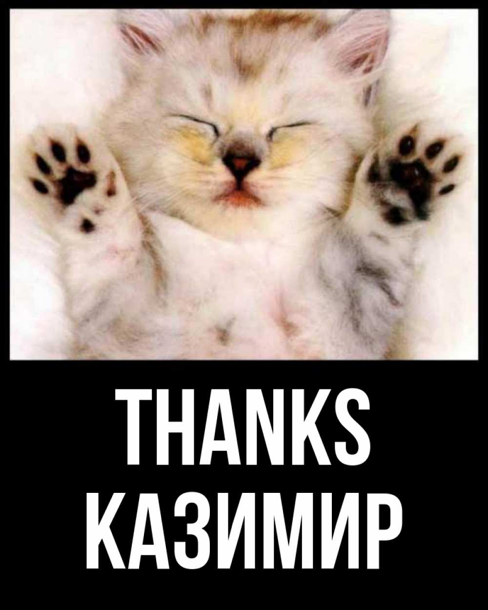 Greetings card с именем, Казимир Thanks маленький котенок Greetings with text for free download 