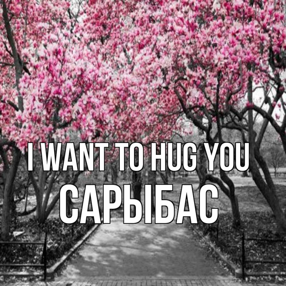 Greetings card с именем, САРЫБАС I want to hug you обработанное фото Greetings with text for free download 