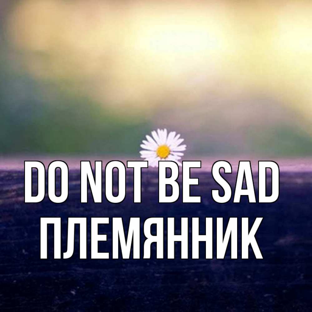 Greetings card с именем, Племянник Do not be sad красота Greetings with text for free download 