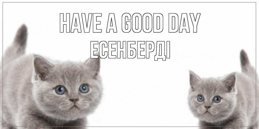 Greetings card с именем, Есенберді Have a good day открытка с котами Greetings with text for free download 