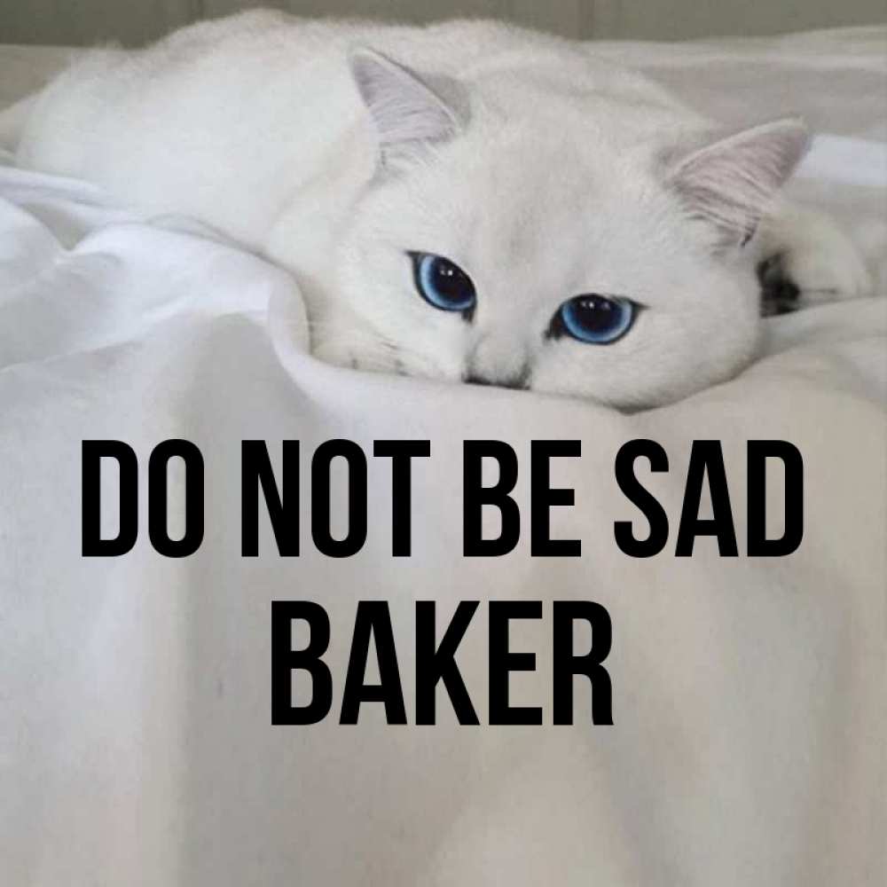 Greetings card с именем, Baker Do not be sad Голубоглазая кошка Greetings with text for free download 