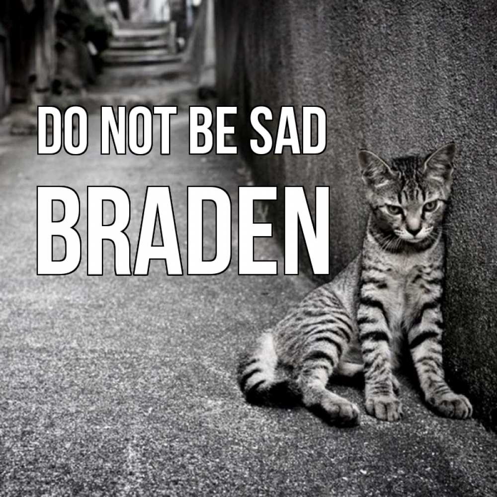 Greetings card с именем, Braden Do not be sad скучающий котик Greetings with text for free download 