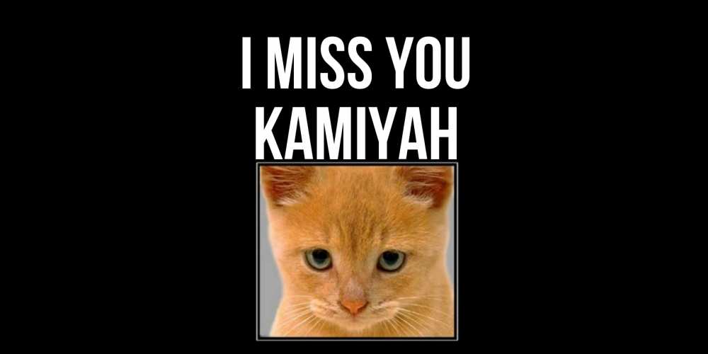 Greetings card с именем, Kamiyah I miss you открытки рыжий котенок скучает по тебе Greetings with text for free download 