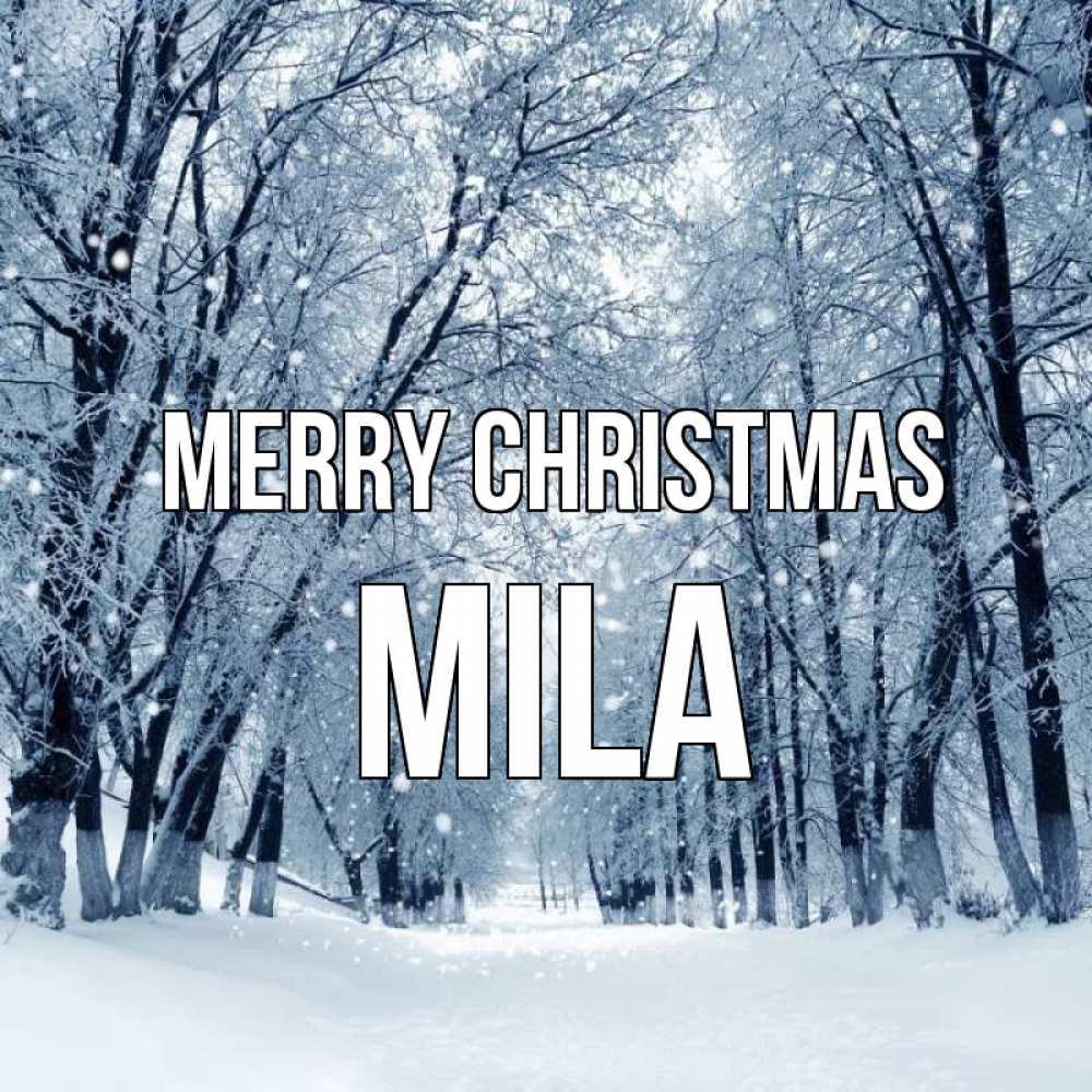 Greetings card с именем, Mila Merry Christmas снег, лес, парк Greetings with text for free download 