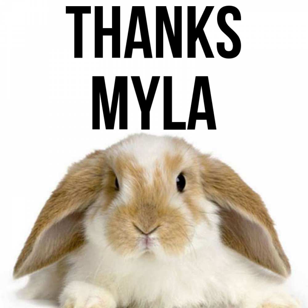 Greetings card с именем, Myla Thanks коричнево белый заяц Greetings with text for free download 