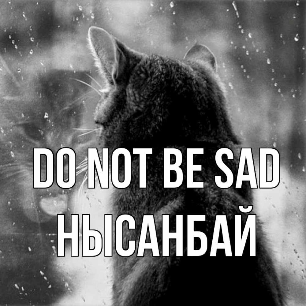 Greetings card с именем, НЫСАНБАЙ Do not be sad отражение кота 1 Greetings with text for free download 