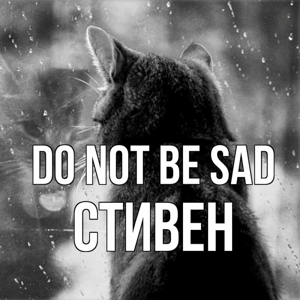 Greetings card с именем, Стивен Do not be sad отражение кота 1 Greetings with text for free download 
