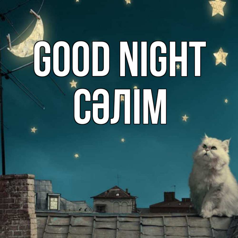 Greetings card с именем, СӘЛІМ Good night белый кот сидит на крыше Greetings with text for free download 