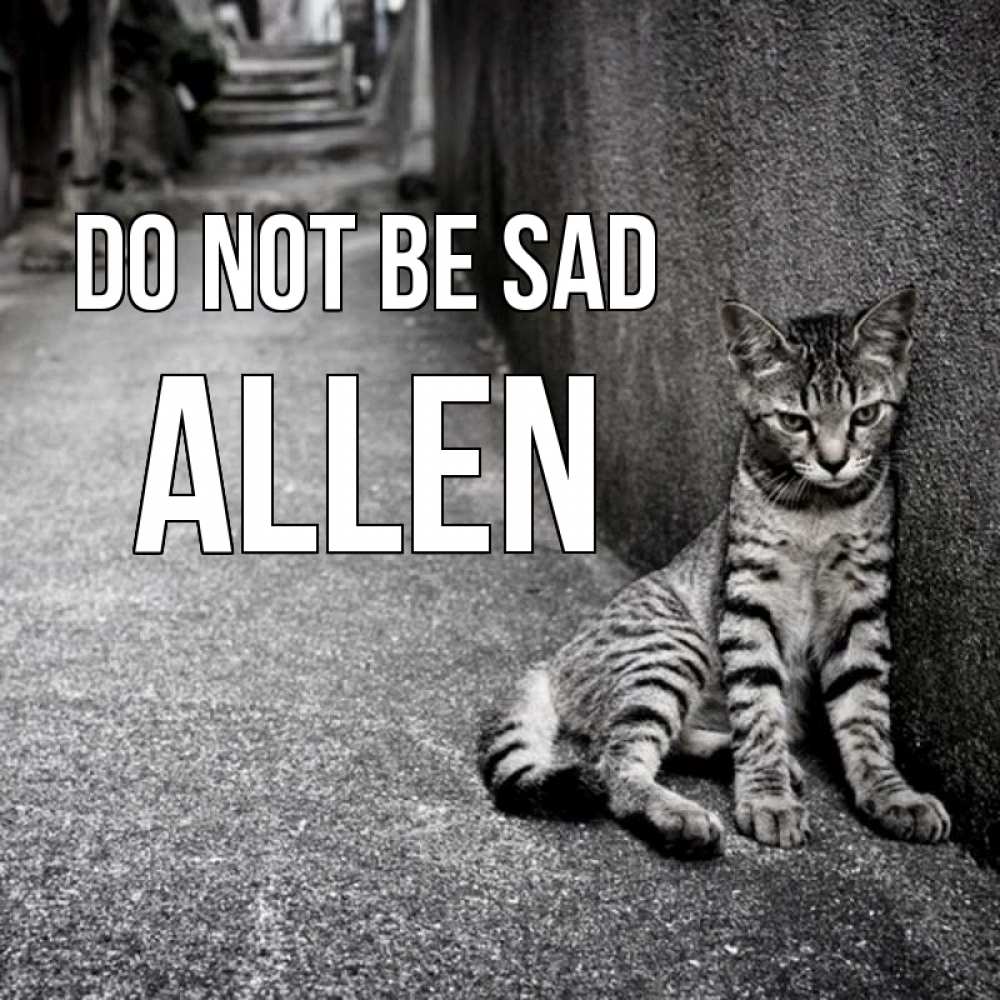 Greetings card с именем, Allen Do not be sad скучающий котик Greetings with text for free download 