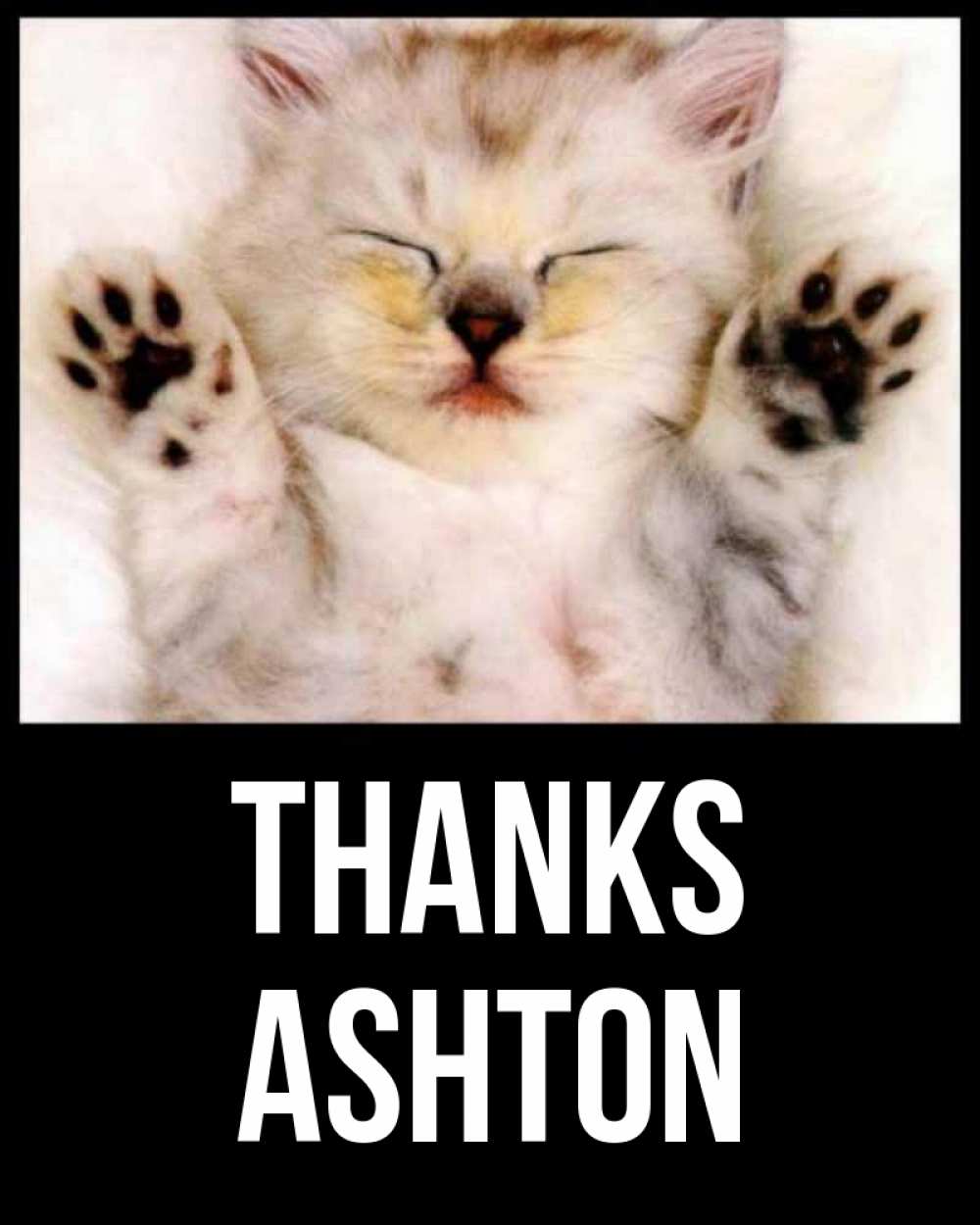 Greetings card с именем, Ashton Thanks маленький котенок Greetings with text for free download 