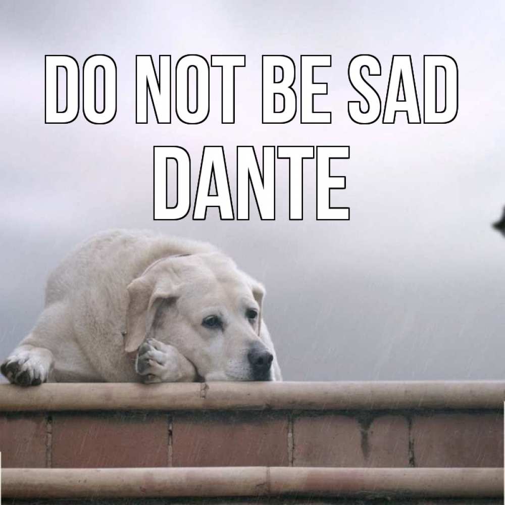 Greetings card с именем, Dante Do not be sad белый пес 1 Greetings with text for free download 
