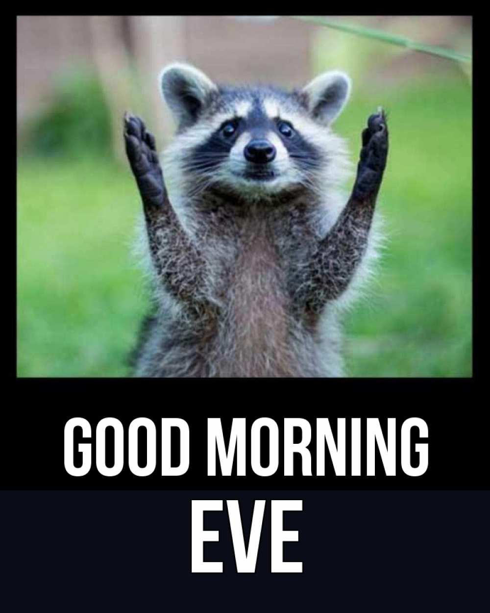 Greetings card с именем, Eve Good morning хорошее настроение утречком Greetings with text for free download 
