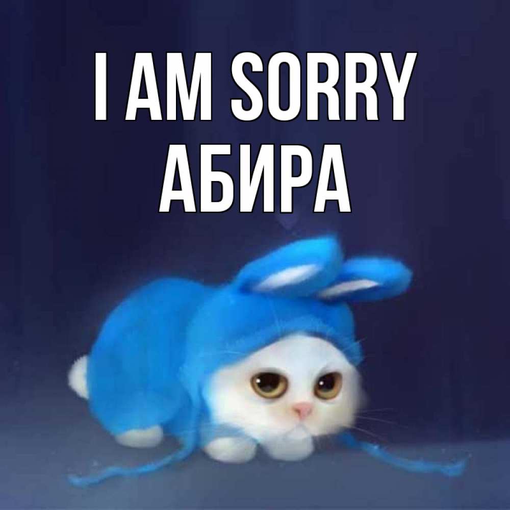 Greetings card с именем, АБИРА I am sorry невинный котозай просит прощения Greetings with text for free download 