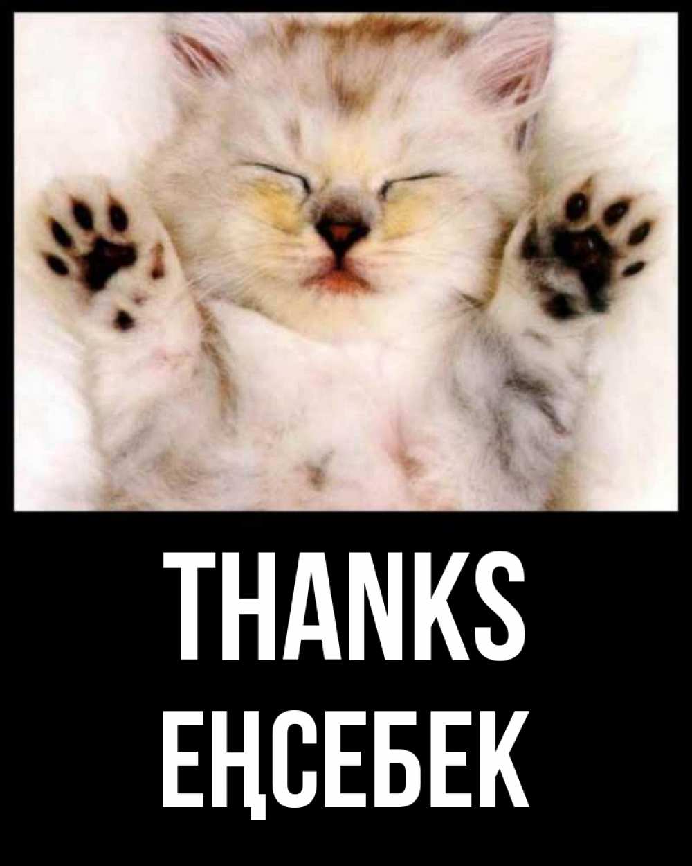 Greetings card с именем, Еңсебек Thanks маленький котенок Greetings with text for free download 
