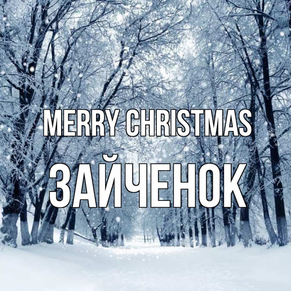 Greetings card с именем, Зайченок Merry Christmas снег, лес, парк Greetings with text for free download 