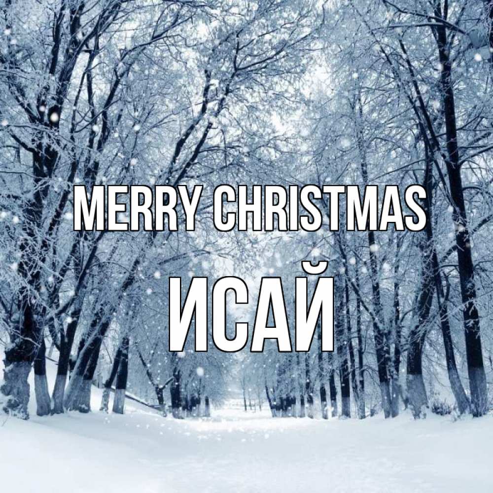Greetings card с именем, Исай Merry Christmas снег, лес, парк Greetings with text for free download 