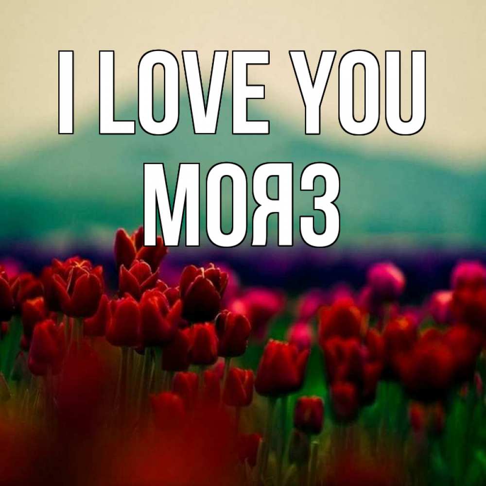 Greetings card с именем, МОЯЗ I love you тюльпаны 4 Greetings with text for free download 