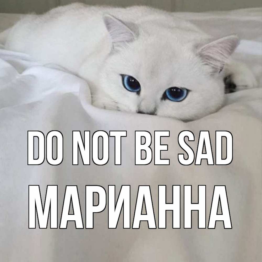 Greetings card с именем, Марианна Do not be sad белый кот с голубыми глазами на белоснежной кровати Greetings with text for free download 