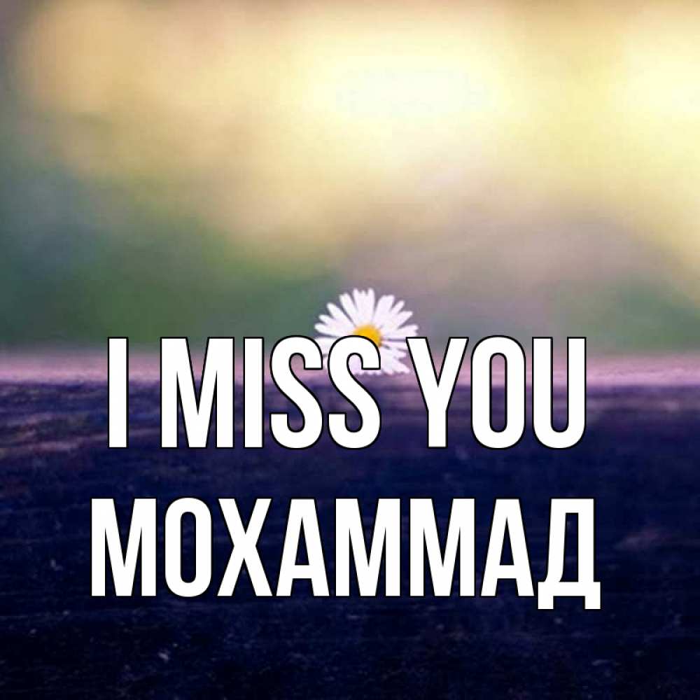 Greetings card с именем, Мохаммад I miss you приходи в гости Greetings with text for free download 
