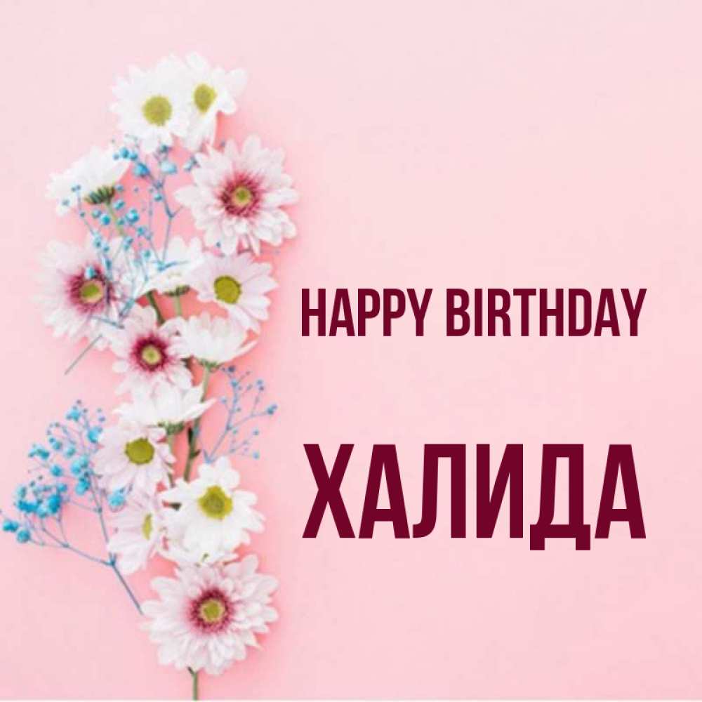 Greetings card с именем, ХАЛИДА Happy Birthday Родная моя с днем рождения тебя картинка с цветами белыми и голубыми Greetings with text for free download 