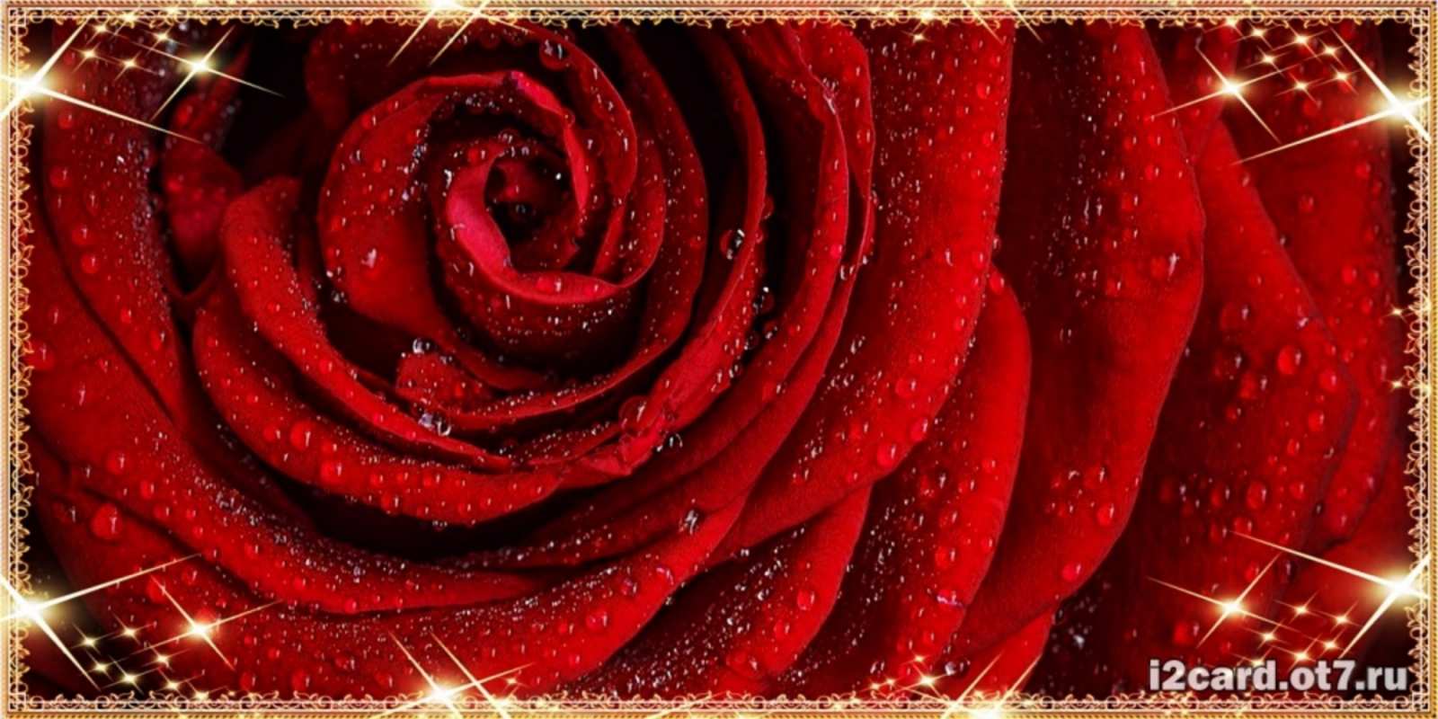 Открытка роза в росе и звездах роса на розе блестящая в лучах солнца Happy Birthday 