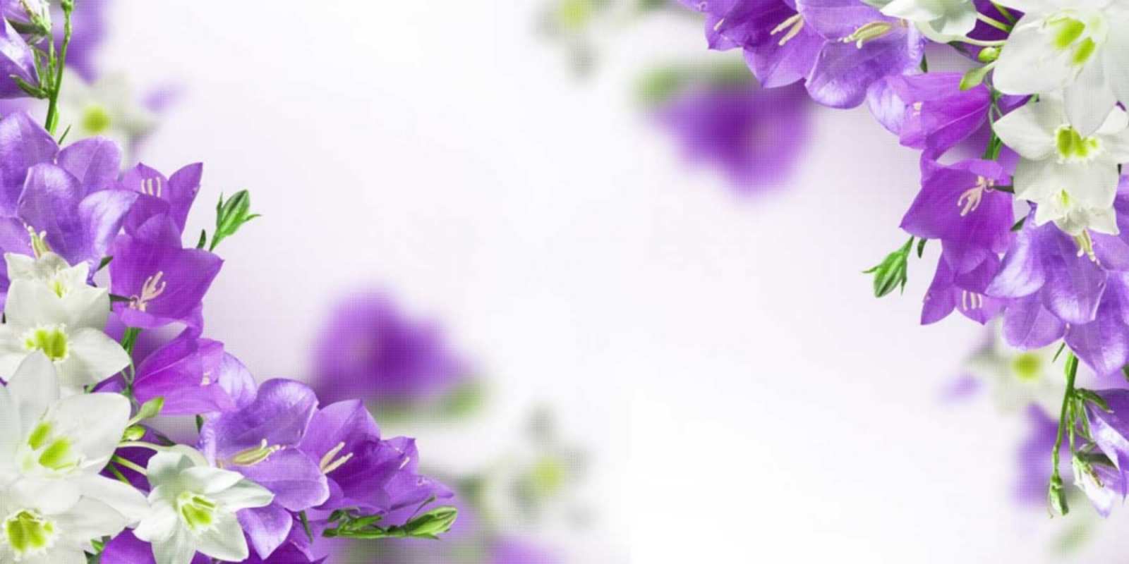 Открытка весенние цветы на открытке для родных и близких открытка на день рождения с сиреневыми цветами Happy Birthday 