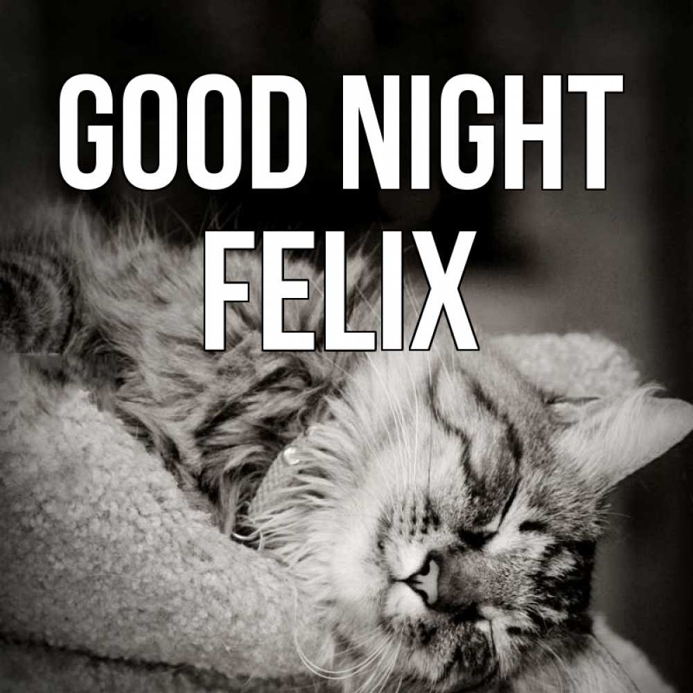 Greetings card с именем, Felix Good night котярик пушистый Greetings with text for free download 