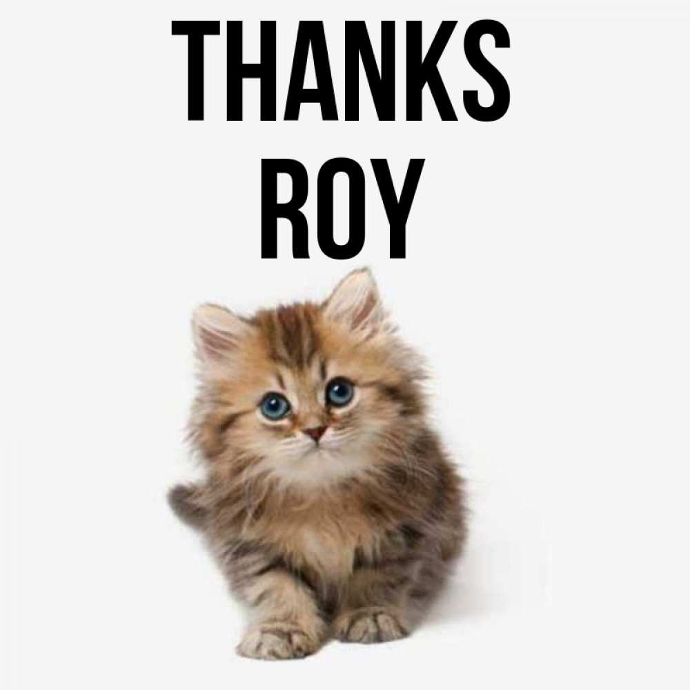 Greetings card с именем, Roy Thanks пушистый котик Greetings with text for free download 