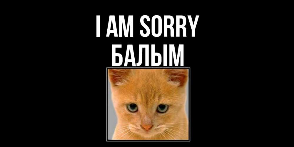 Greetings card с именем, БАЛЫМ I am sorry рыжий грустный кот просит прощения Greetings with text for free download 