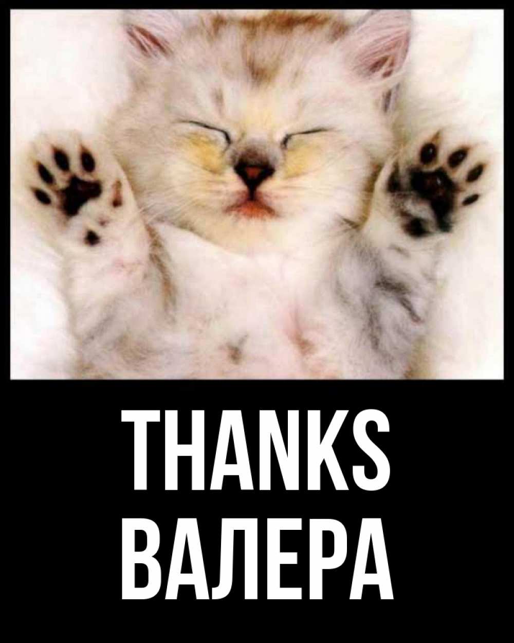 Greetings card с именем, Валера Thanks маленький котенок Greetings with text for free download 