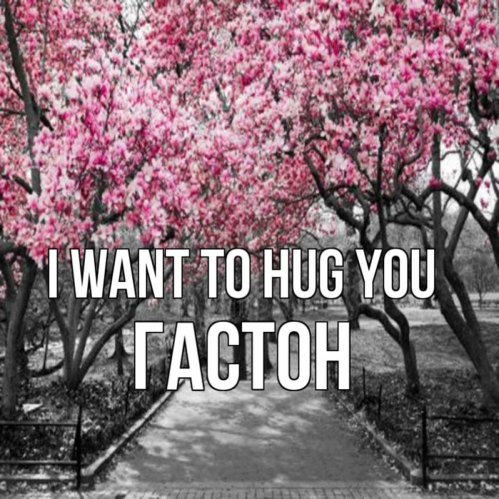 Greetings card с именем, Гастон I want to hug you обработанное фото Greetings with text for free download 
