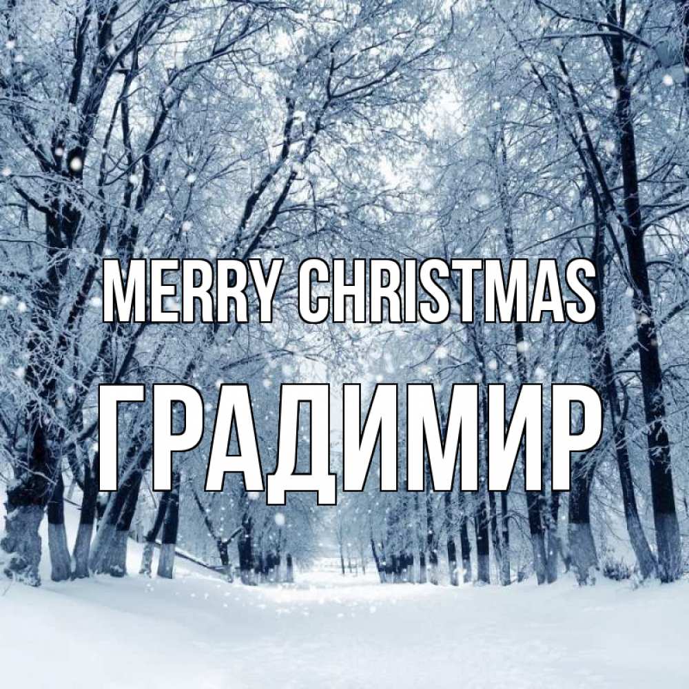 Greetings card с именем, Градимир Merry Christmas снег, лес, парк Greetings with text for free download 