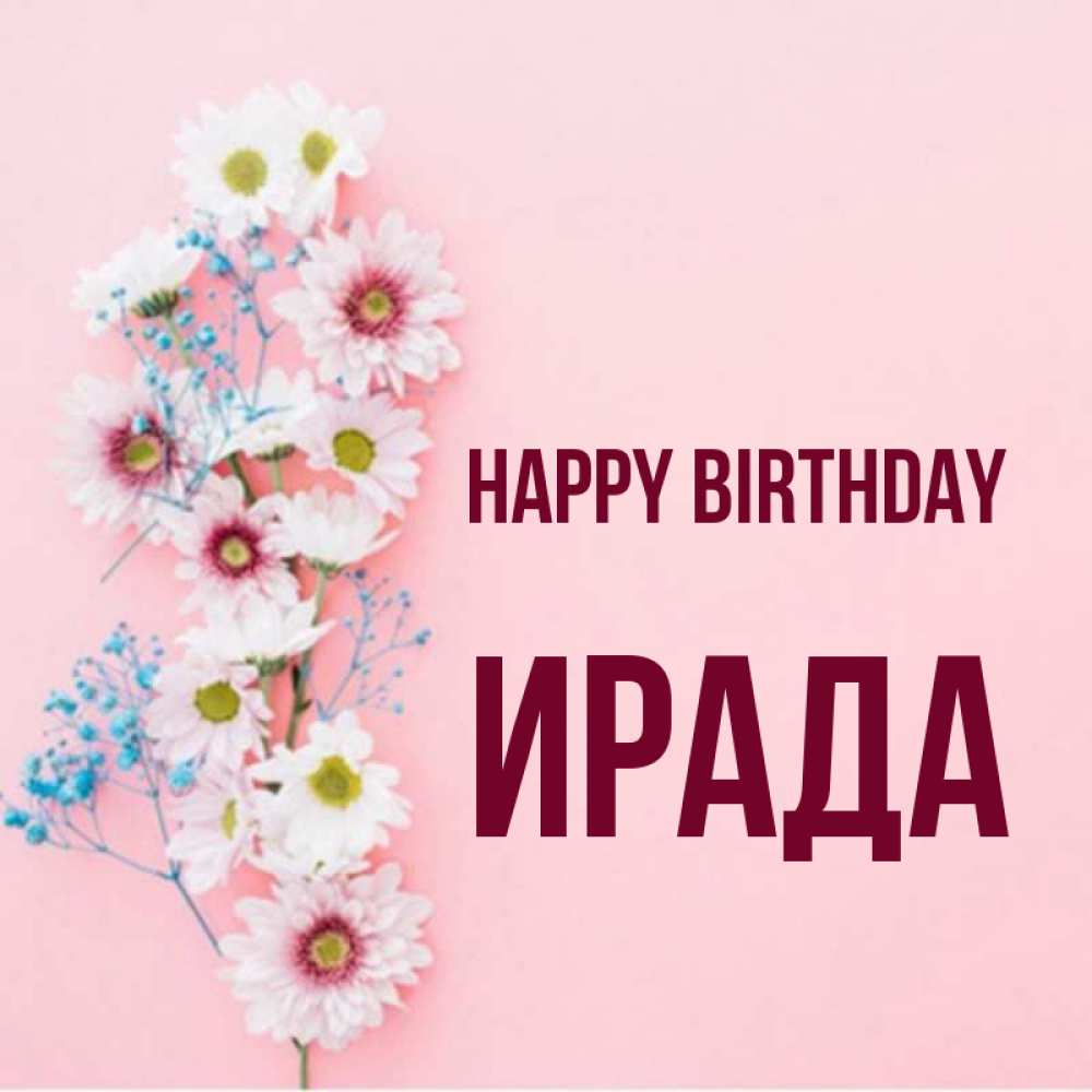 Greetings card с именем, ИРАДА Happy Birthday Родная моя с днем рождения тебя картинка с цветами белыми и голубыми Greetings with text for free download 